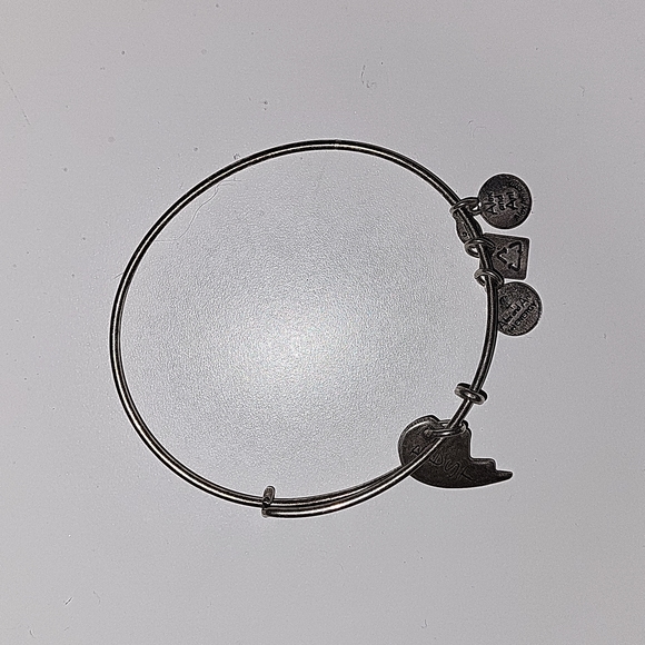 Alex and Ani Jewelry - EUC Alex and Ani "best" bracelet